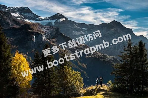 ⊞ Portfolio - 豪门国际直播APP