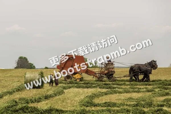 ⊞ Portfolio - 豪门国际直播APP
